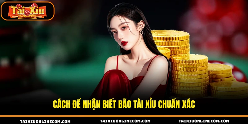Cách để nhận biết bão tài xỉu chuẩn xác